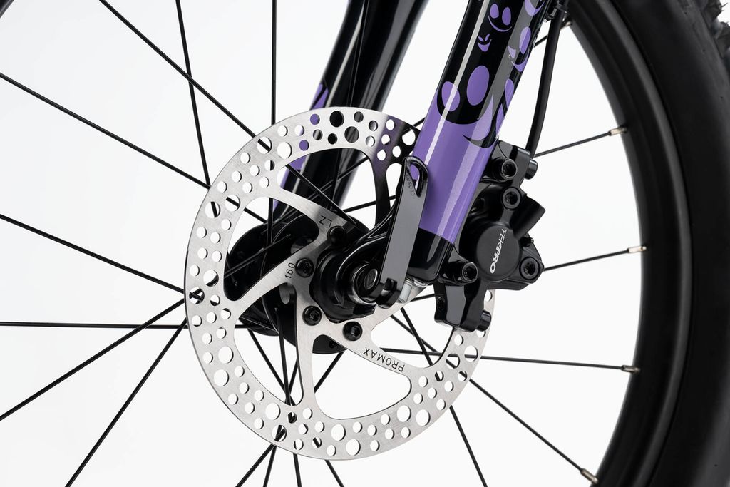 Vélo Enfant Ghost Lanao 20 Full Party 2025