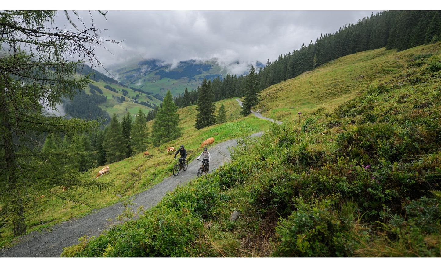 VTT Électrique Cube STEREO HYBRID ONE22 PRO 800 2026